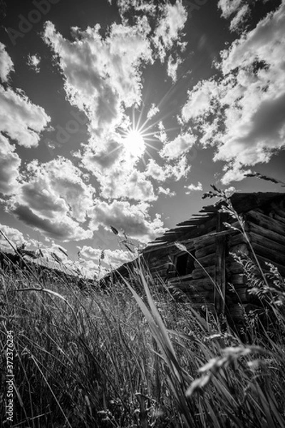 Obraz old abandoned house