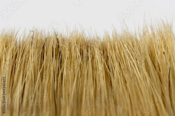 Obraz Old rusty paint brush bristle closeup