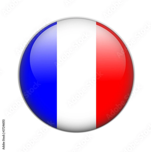 Obraz france, flag button