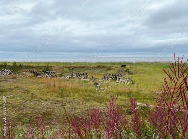 Fototapeta Russia, Kola Peninsula, Tersk District, White Sea coast. Sea view from the road. There are broken wooden structures in the grass to trap snow in winter. Cloudy rainy day, late summer