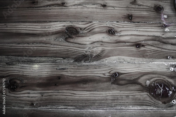 Fototapeta texture of bark wood use as natural background