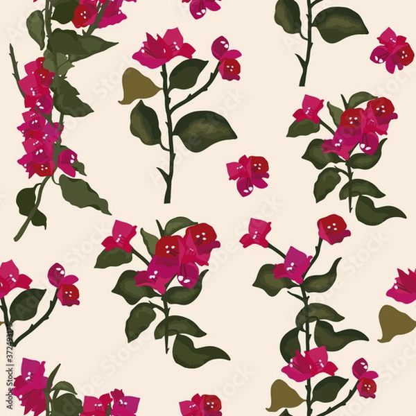 Fototapeta Vector seamless pattern with bougainvillea in a white background.