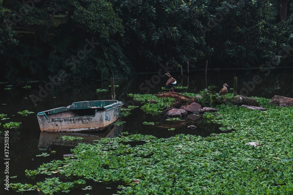 Fototapeta Duck on Abandoned Boat in Lake