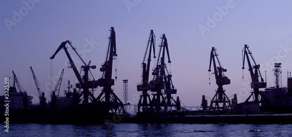 Obraz Cranes at night