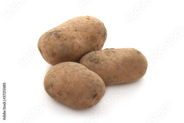 Obraz Pommes de terre