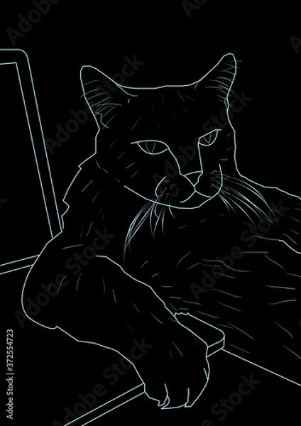 Fototapeta Kot i praca zdalna