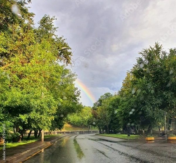 Obraz road in the park