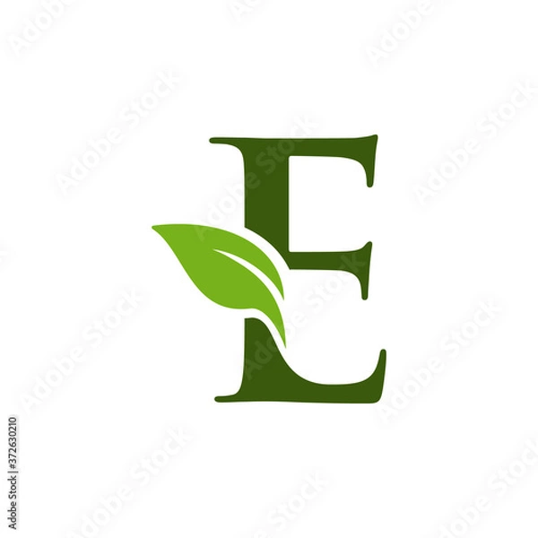 Obraz Letter E initial with green leaf logo vector design template