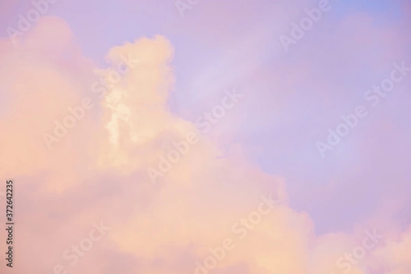 Fototapeta beautiful lilac sky and glowing golden clouds in soft focus