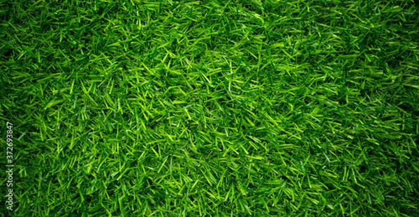 Fototapeta Green grass background, football field
