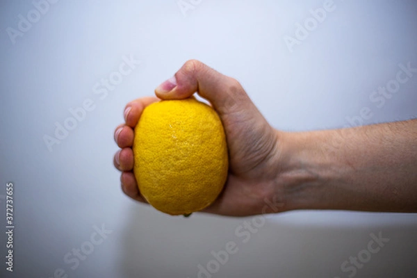 Fototapeta Male hand with veins holding a whole lemon, close-up