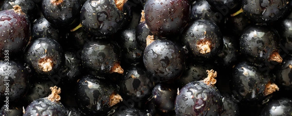 Fototapeta Closeup of ripe black currant berries. Long horizontal macro food banner. Fresh sweet ingredient for desserts, tarts and pies. Full of Vitamin C, Organic agriculture, sour and healthy food. Harvest.