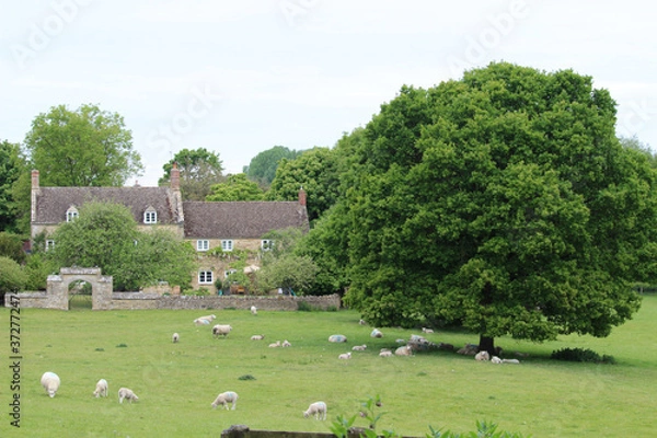 Obraz cotswold farm