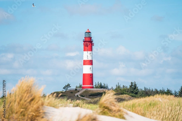 Obraz Leuchtturm Amrum