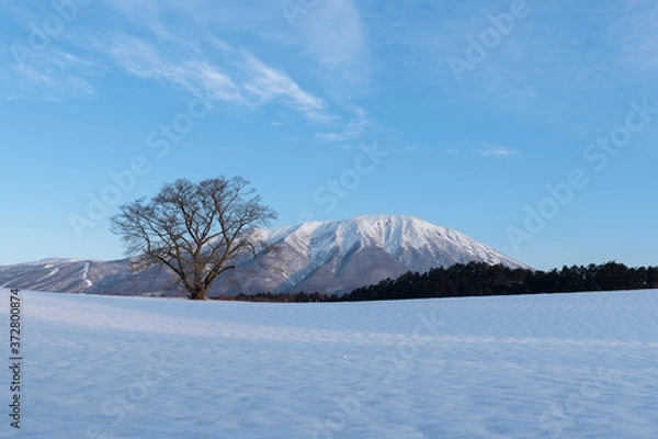 Obraz 早朝の雪景色