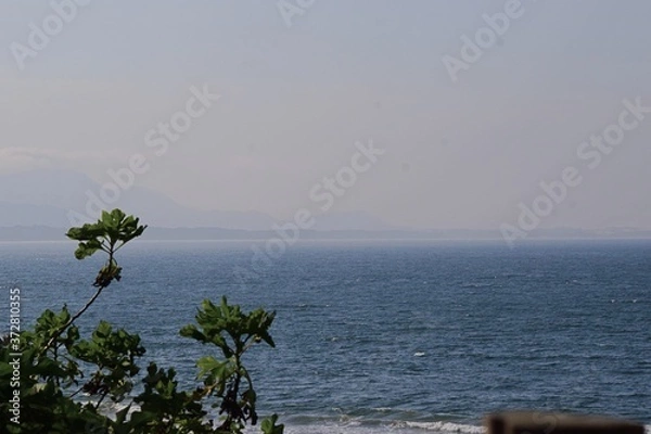 Fototapeta tree and sea