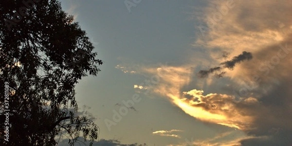 Fototapeta clouds in the sky and trees