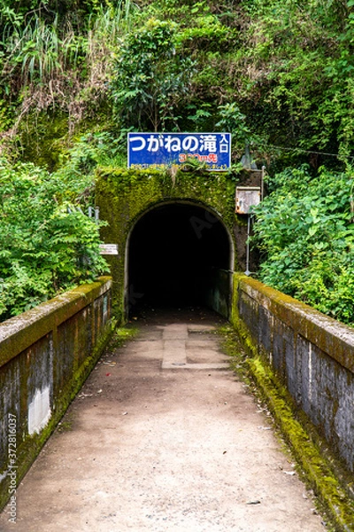 Fototapeta つがね落としの滝までの風景