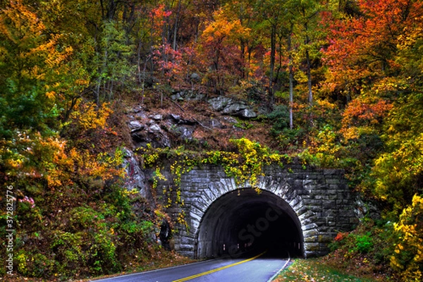 Obraz Tunnel in Autumn