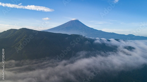 Fototapeta 雲海と富士山