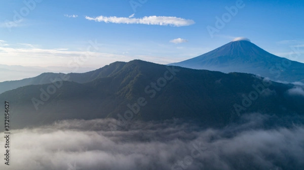 Fototapeta 雲海と富士山