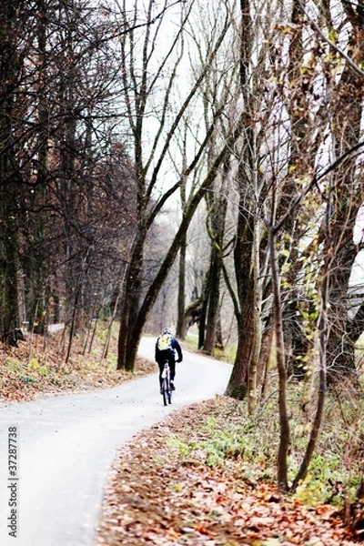 Obraz Strasse in der Natur