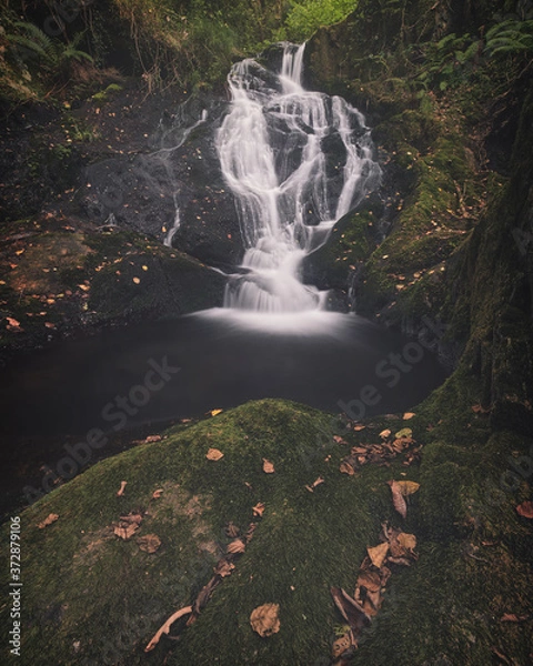 Obraz waterfall in autumn forest