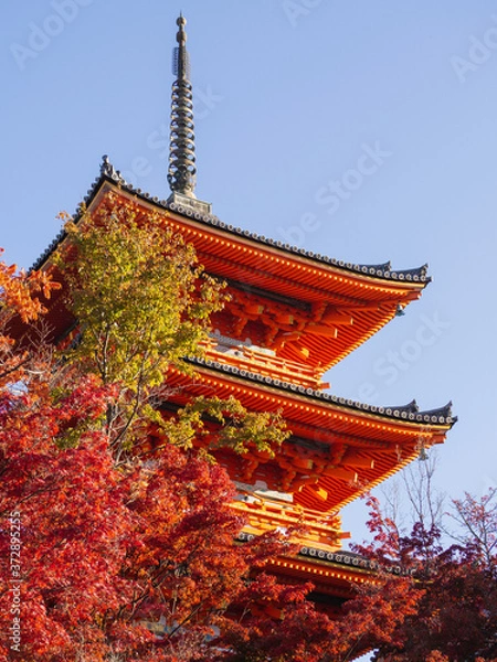 Obraz Kiyomizu-dera, Japan