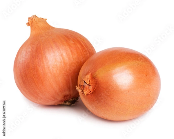 Obraz Raw onion