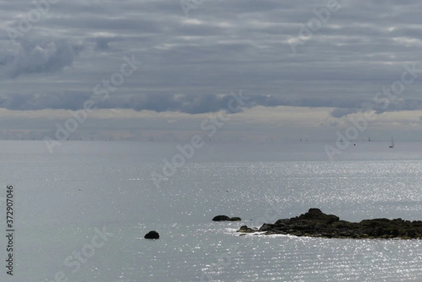 Obraz Summer landscape with fog