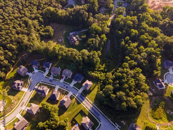 Obraz Atlanta views from above