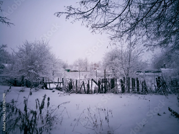 Obraz winter landscape with trees