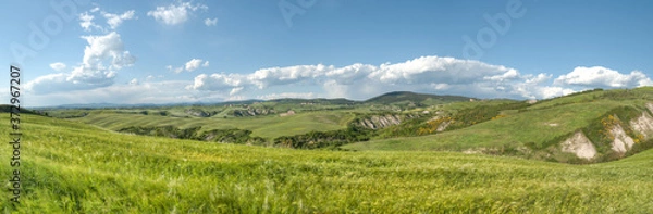 Obraz beau paysage de colline en  Toscane en Italie au printemps avec champ de blé