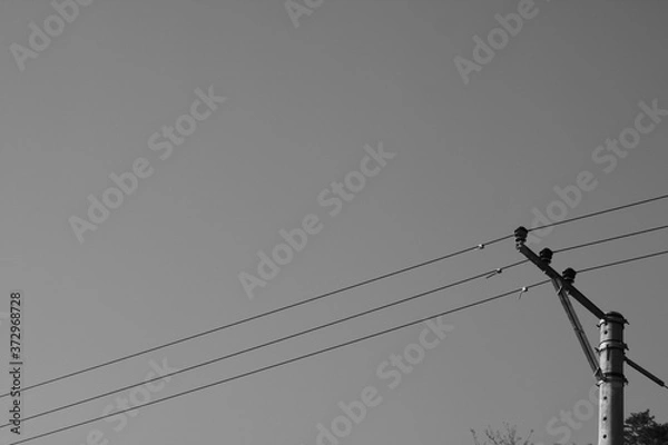 Obraz electric power lines