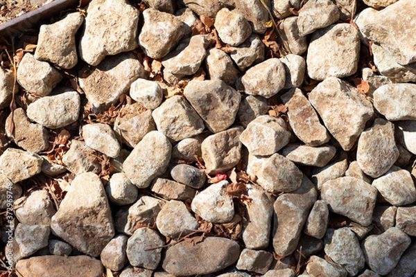 Obraz Piedras y tierra