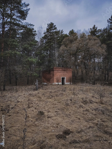 Obraz old abandoned house