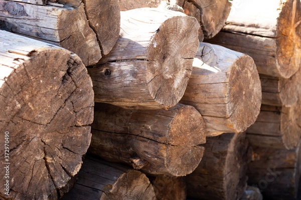 Obraz Leña y Madera