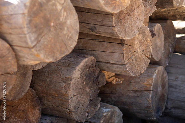 Obraz Madera y Leña