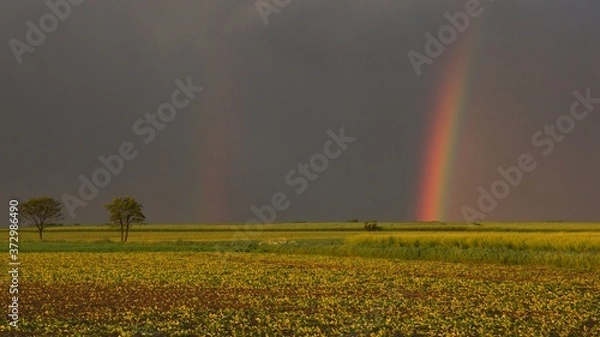 Obraz landscape after the storm