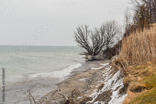 Obraz Frozen coast