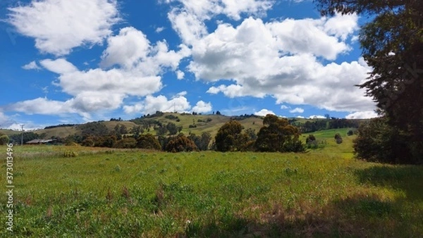 Obraz sabanas colombianas