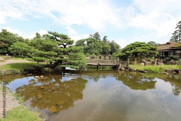 Fototapeta 彦根城と玄宮園