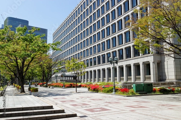 Obraz 春の大阪 中之島公園と大阪市役所