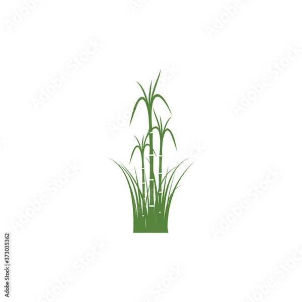 Obraz Sugar cane Logo Template vector symbol