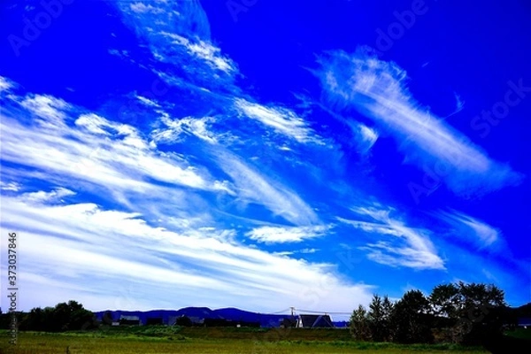 Obraz 青空と大地と流れ雲