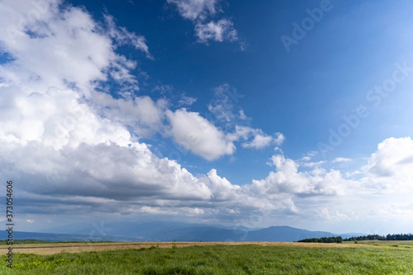 Fototapeta 霧ヶ峰高原の景色