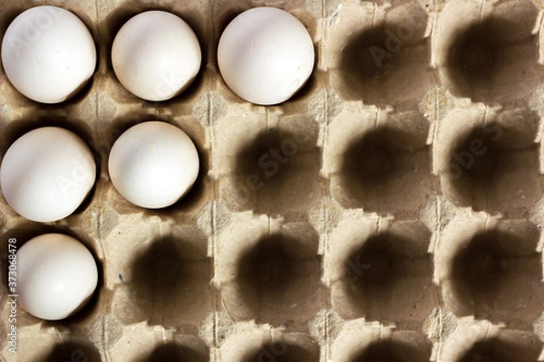 Fototapeta Eggs isolated on white background. Close-up of an egg isolated on white background. Brown chicken eggs isolated on white background