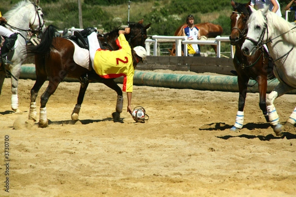Obraz Horse Ball