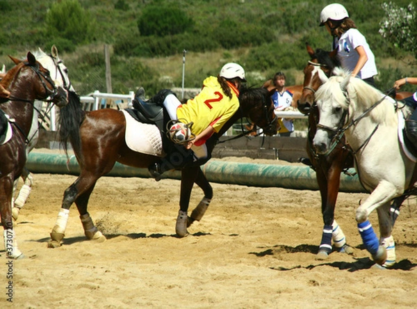 Obraz Horse Ball