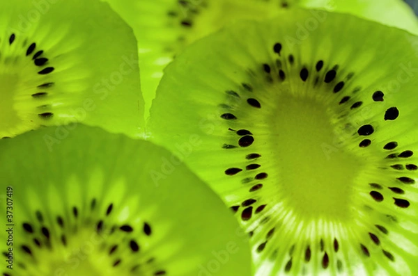 Obraz Kiwi